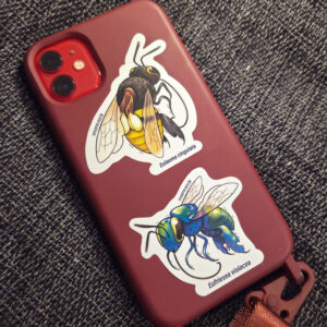 Adesivos: Abelhas das orquídeas