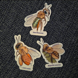 Trio abelhas solitárias