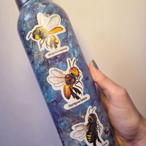 adesivos: trio abelhas sem ferrão