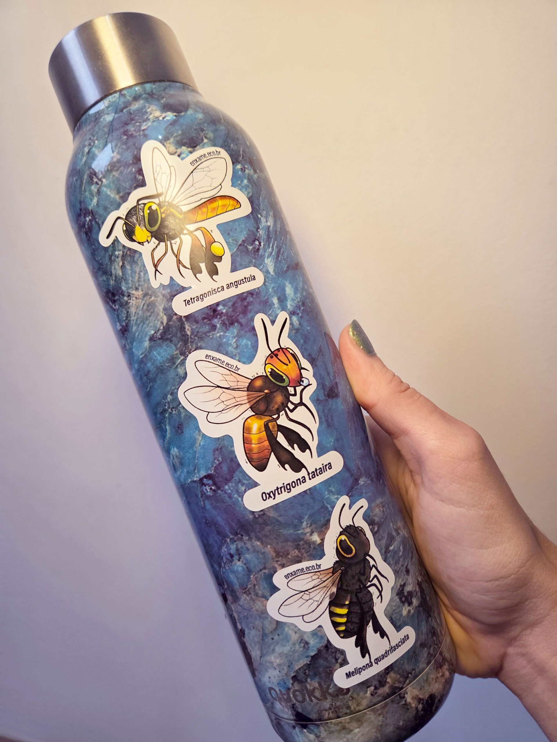 adesivos: trio abelhas sem ferrão