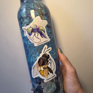 Adesivos: Abelhas das orquídeas