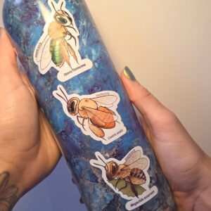 Trio abelhas solitárias