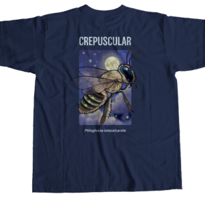 crepuscular mockup