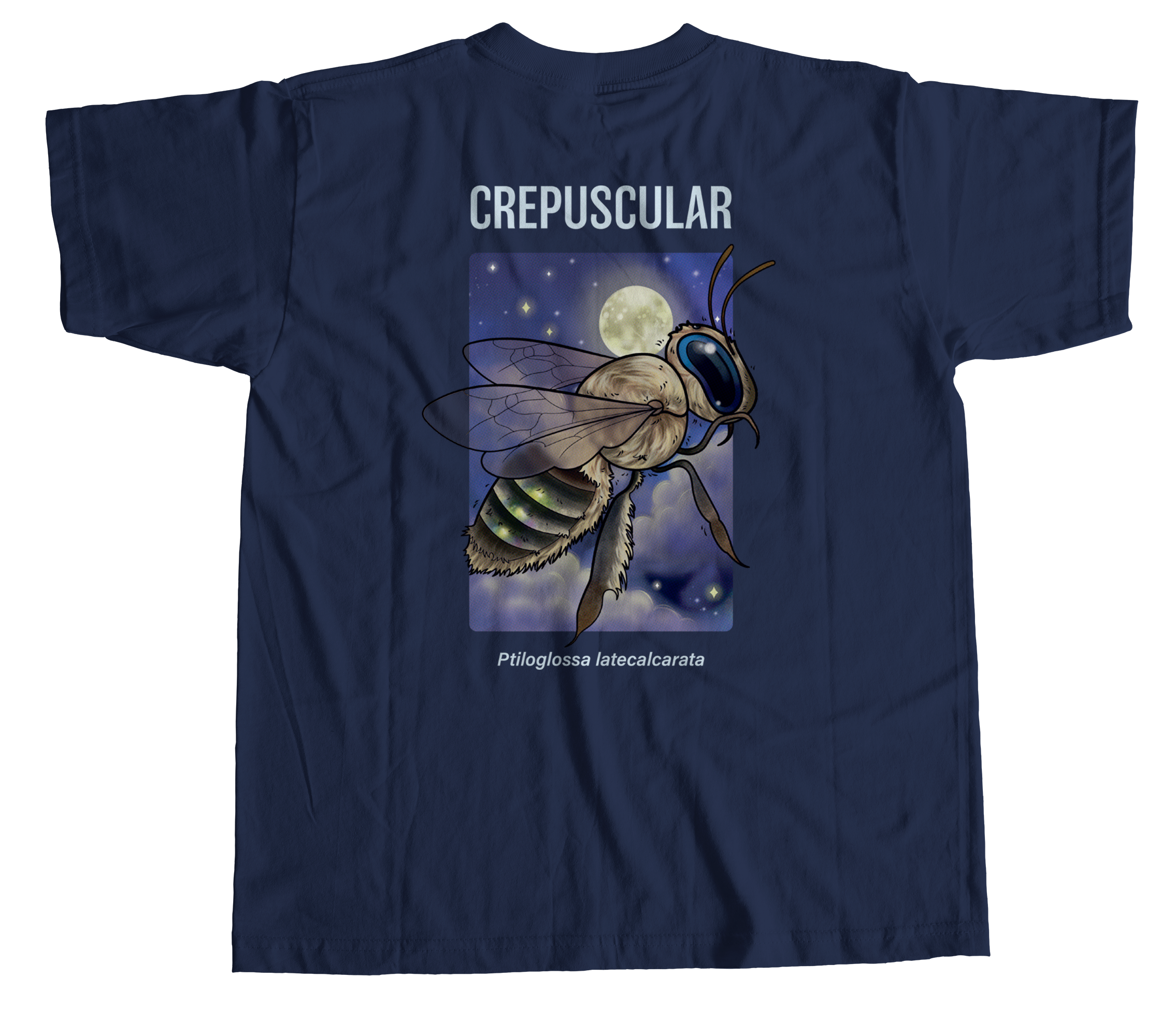 crepuscular mockup