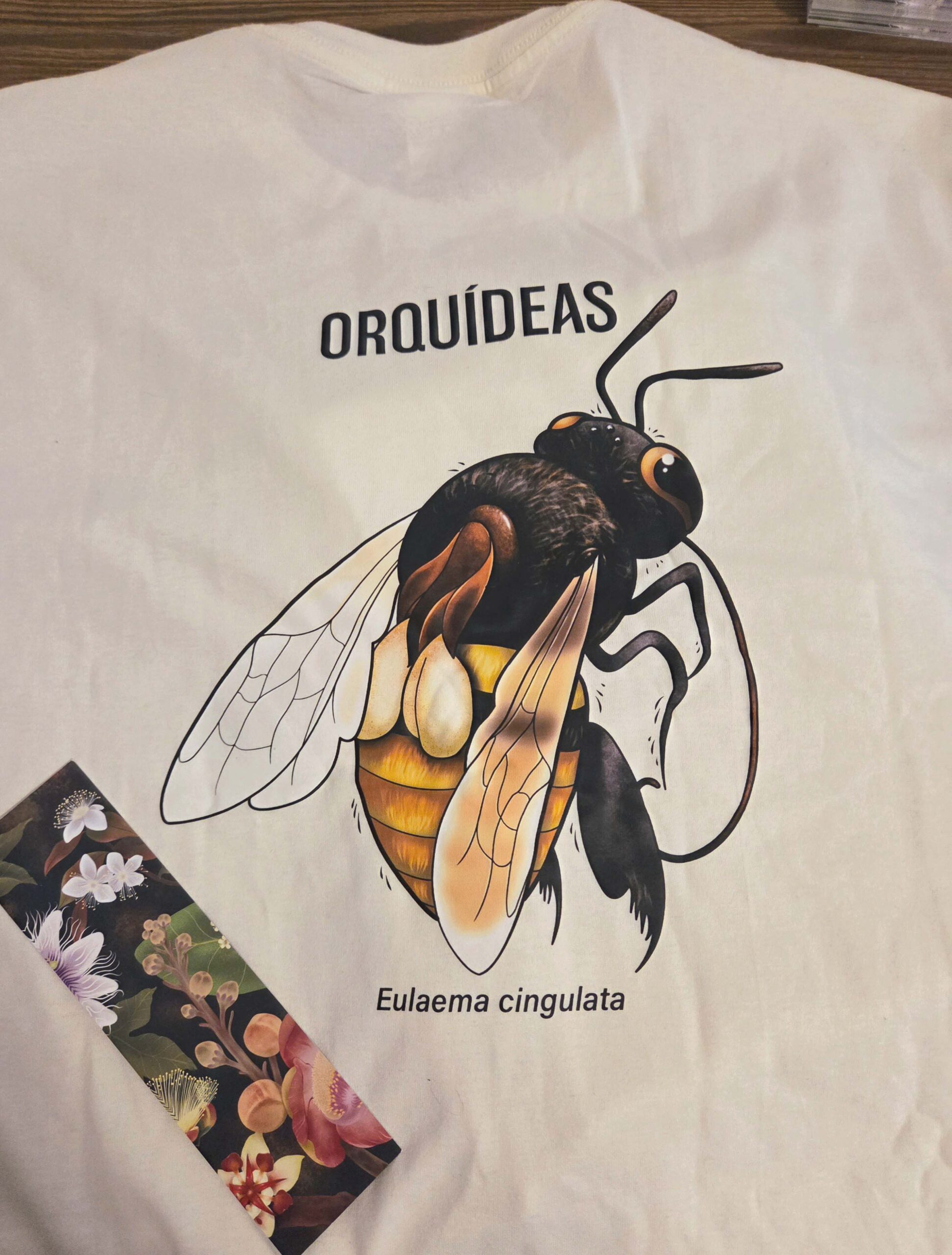 Abelha das Orquídeas: Eulaema cingulata - Imagem 3
