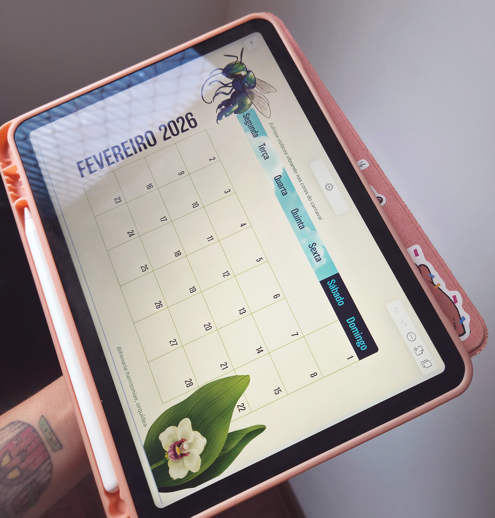 Calendário 2026: Abelhas Brasileiras (digital) - Imagem 8