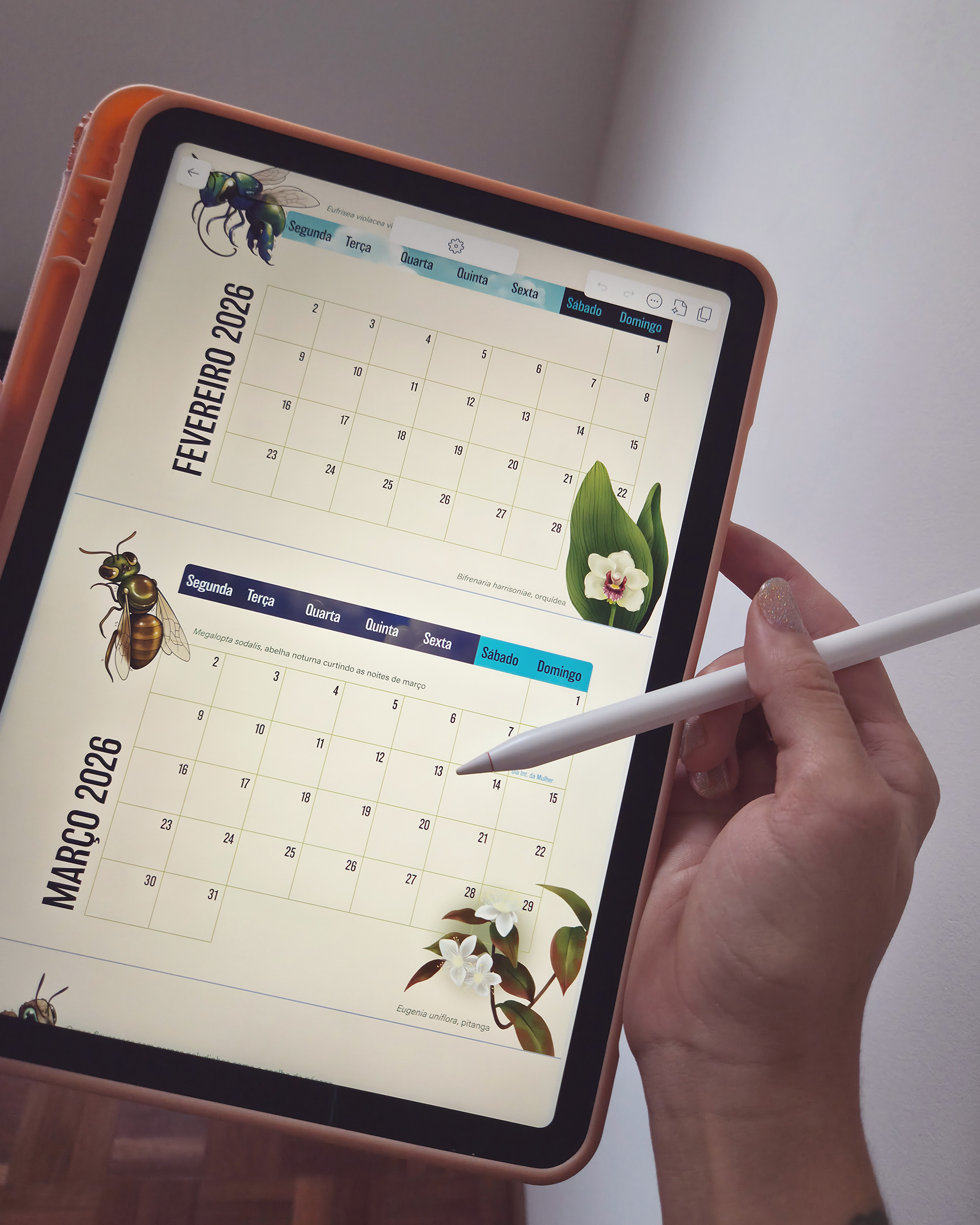 Calendário 2026: Abelhas Brasileiras (digital) - Imagem 5