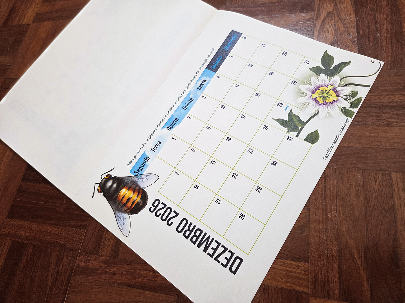 Calendário 2026: Abelhas Brasileiras (bloco em impressão de alta qualidade) - Imagem 5