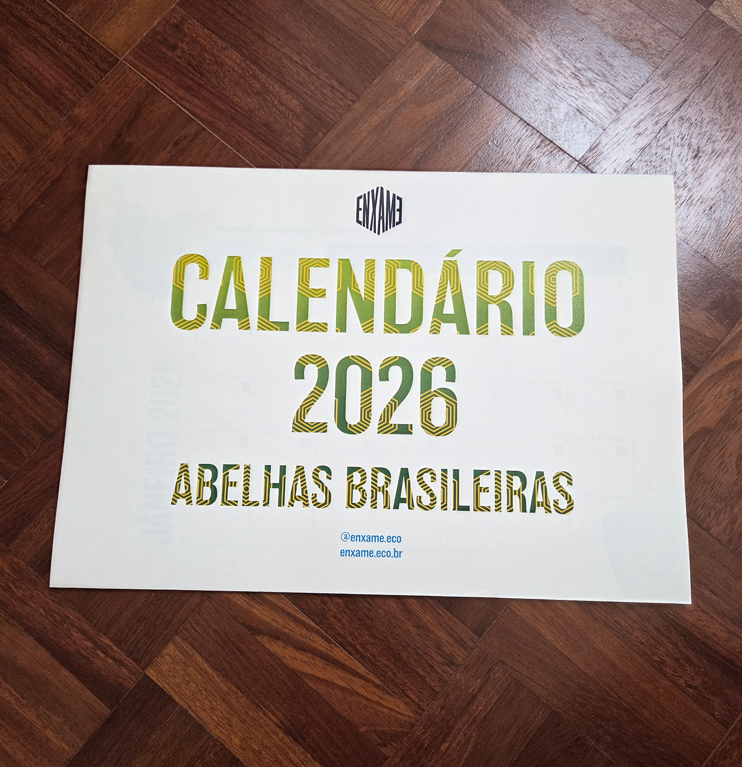 Calendário 2026: Abelhas Brasileiras (bloco em impressão de alta qualidade) - Imagem 3