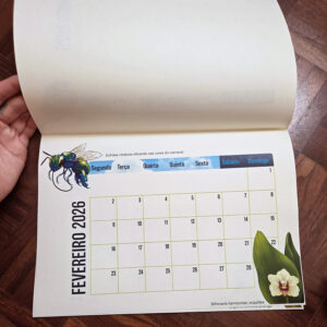 Calendário 2026: Abelhas Brasileiras (bloco em impressão de alta qualidade)