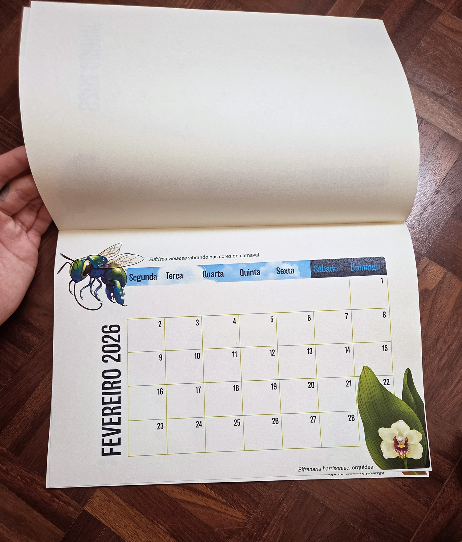 Calendário 2026: Abelhas Brasileiras (bloco em impressão de alta qualidade) - Imagem 2