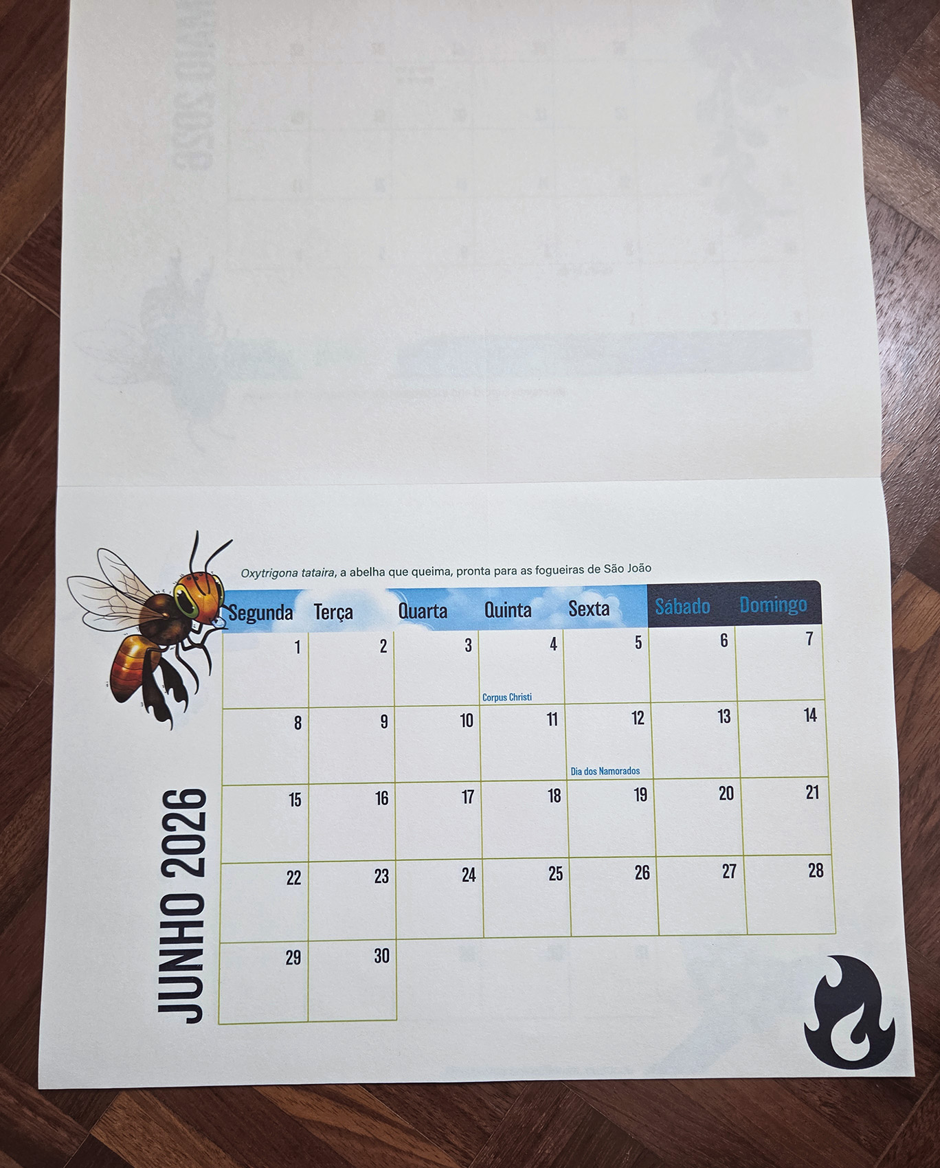 Calendário 2026: Abelhas Brasileiras (bloco em impressão de alta qualidade) - Imagem 4