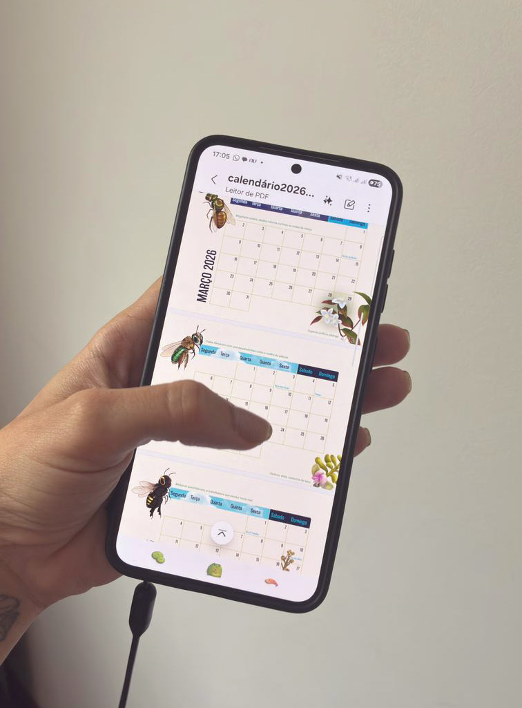 Calendário 2026: Abelhas Brasileiras (digital) - Imagem 3