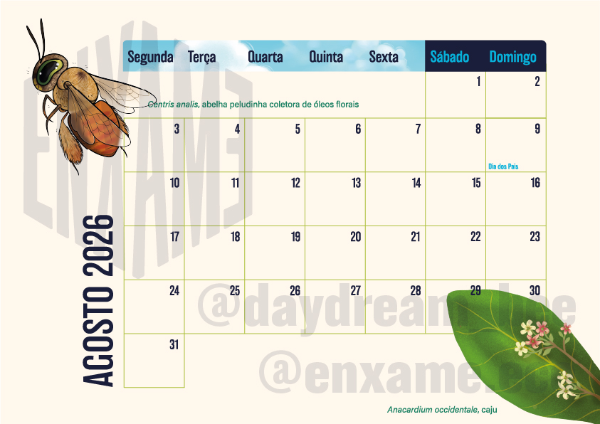 Calendário 2026: Abelhas Brasileiras (digital) - Imagem 7