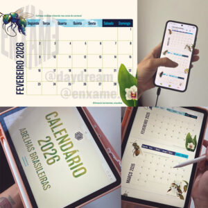 Calendário 2026: Abelhas Brasileiras (digital)