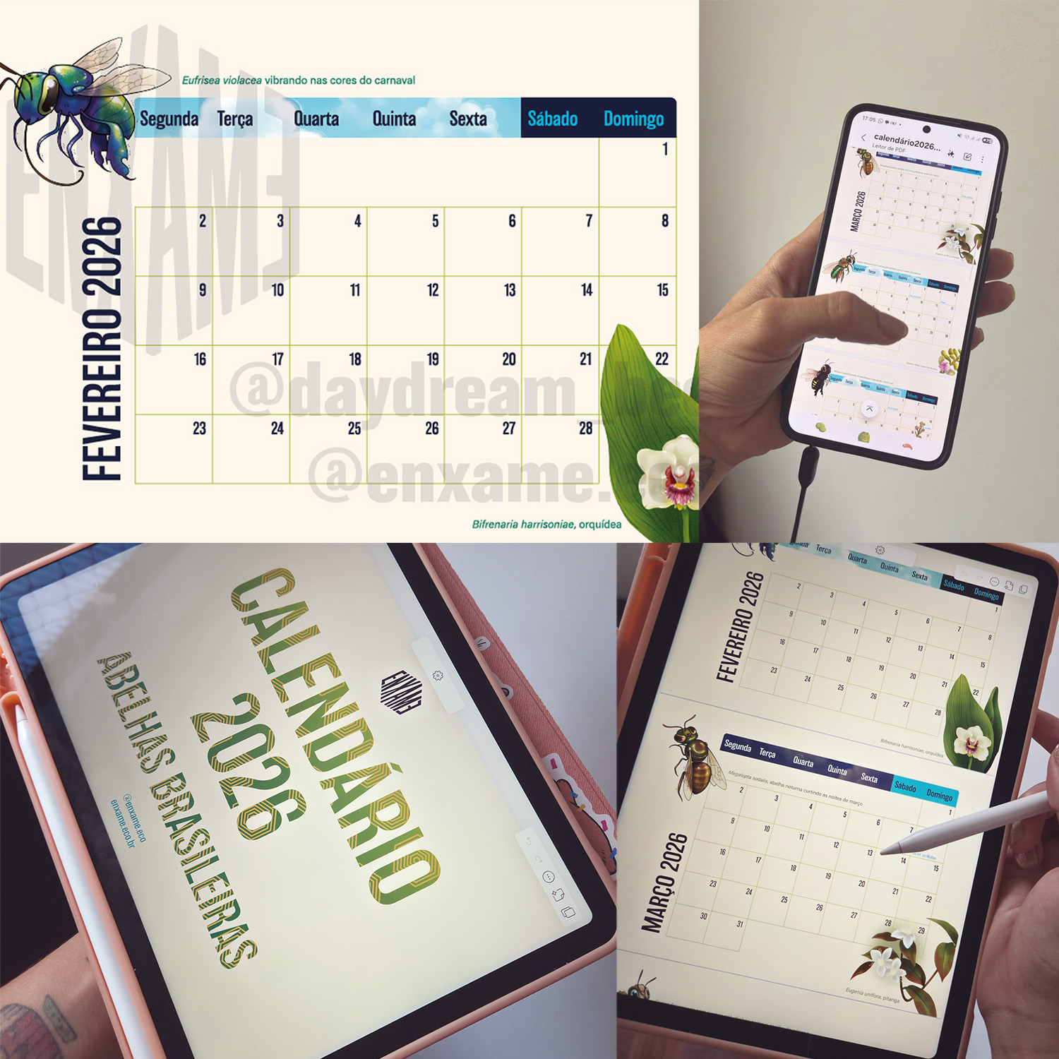 Calendário 2026: Abelhas Brasileiras (digital)