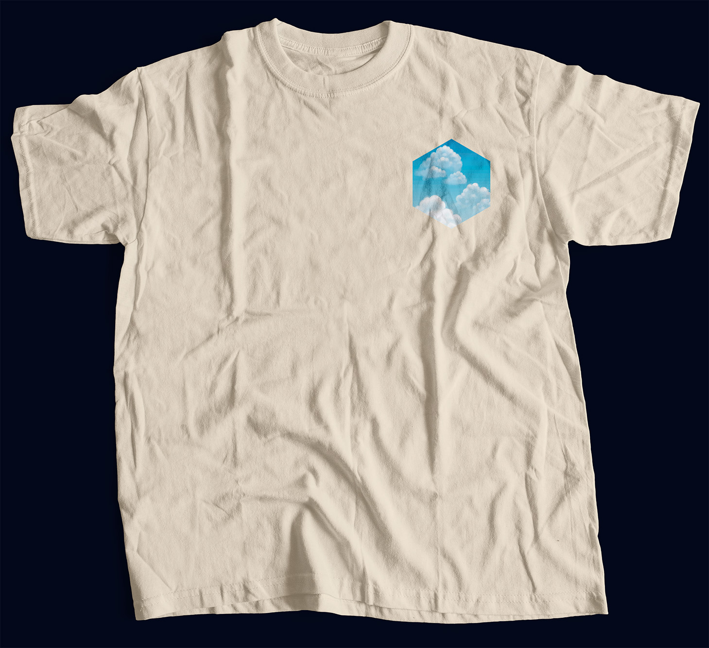 Abelha das Orquídeas: Eufrisea violacea - Imagem 4