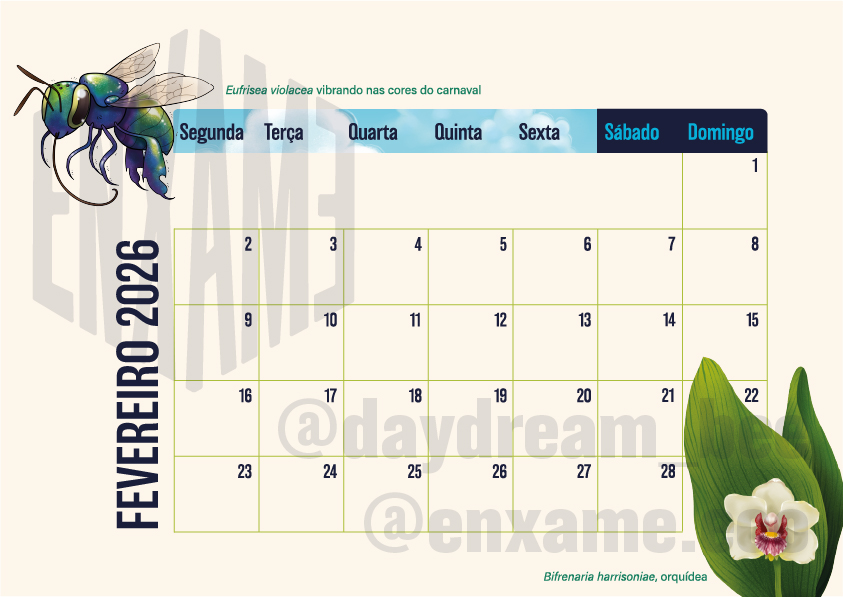 Calendário 2026: Abelhas Brasileiras (digital) - Imagem 4