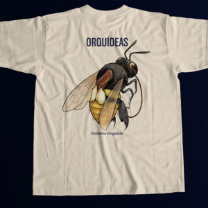 Abelha das Orquídeas: Eulaema cingulata