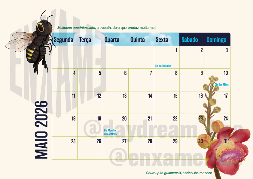 Calendário 2026: Abelhas Brasileiras (digital) - Imagem 6