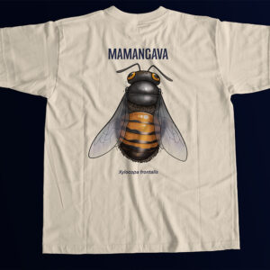 Mamangava: Xylocopa frontalis