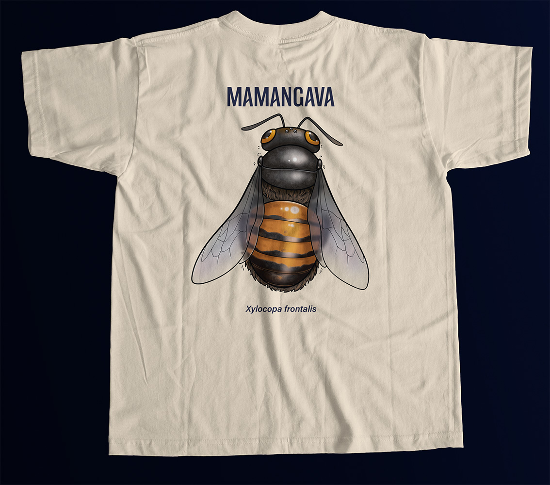 Mamangava: Xylocopa frontalis