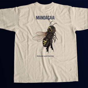 Mandaçaia: Abelha sem ferrão